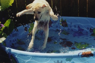 ThunderJump